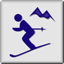 icon ski 1